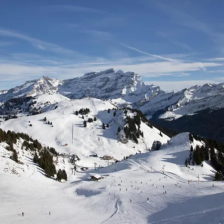 Regina B9 By Interhome アパート ヴィラール・シュル・オロン