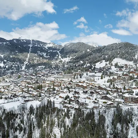 Regina B9 By Interhome アパート ヴィラール・シュル・オロン