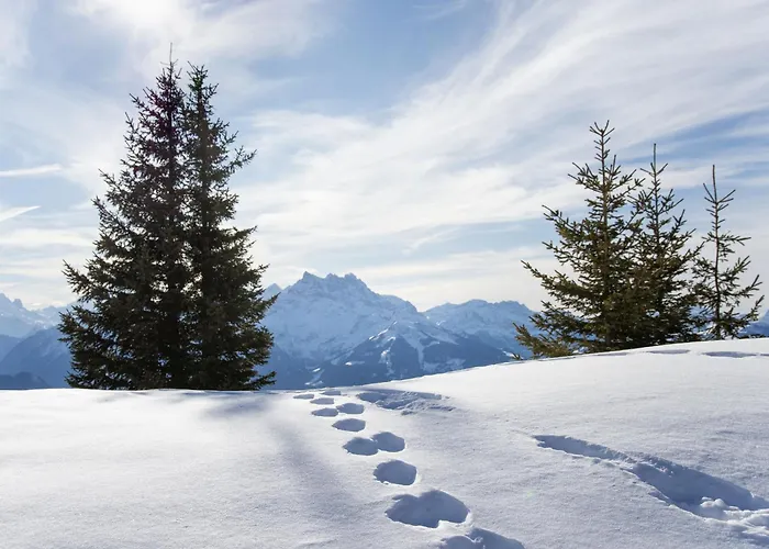 Regina B9 By Interhome Apartment *